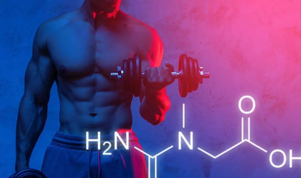 Hoe pas je je eiwit- en koolhydraatinname aan op je fitnessdoelen?