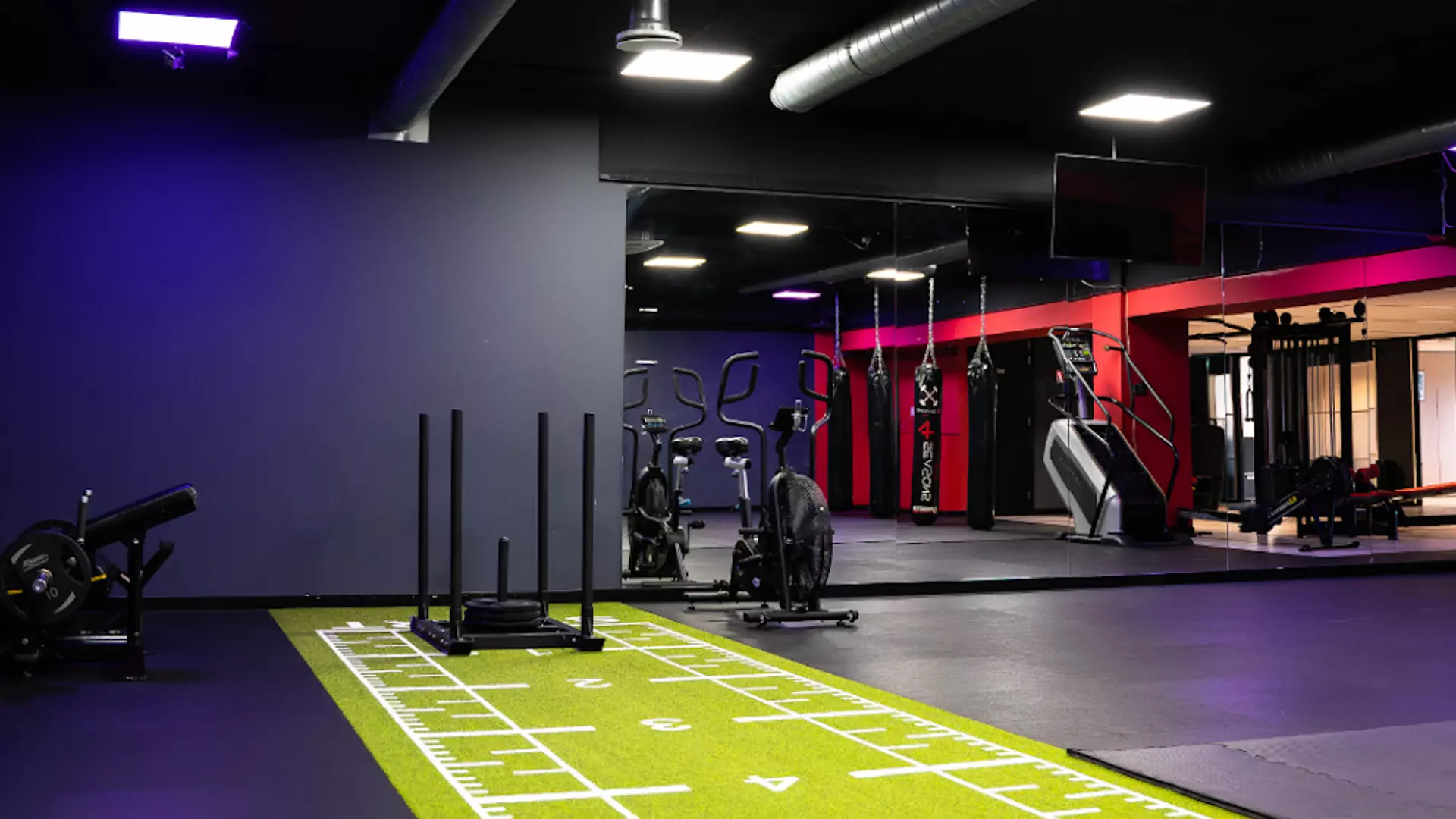 Personal trainer Den Haag